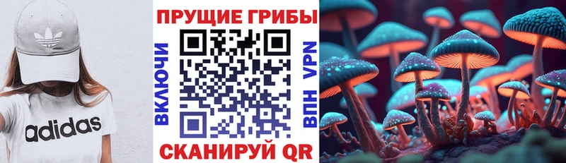 Галлюциногенные грибы мухоморы  Зея 